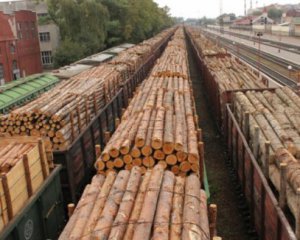 Украина лидирует в экспорте незаконной древесины