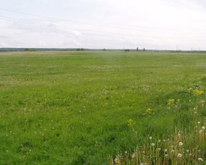 Посеред поля знайшли труп чоловіка