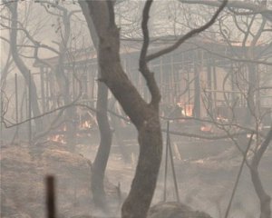 Обнародовали страшную статистику жертв за первые сутки пожаров в Греции