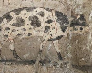  В Египте раскопали гробницы с необычными фресками