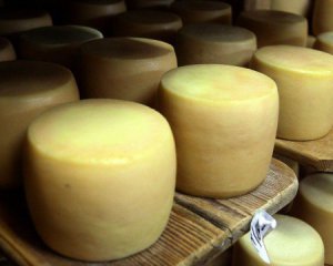 Знайшли сир, виготовлений 3 тис. років тому