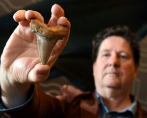 Обнаружили зуб гигантского доисторического монстра