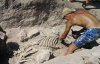 В Крыму раскопали древнее кладбище лошадей
