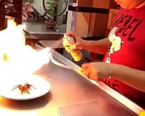 Ресторан затравили из-за блюда с тарантулом