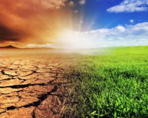 З'ясували, як побороти глобальне потепління