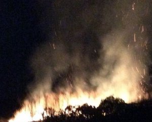 Згоріло 20 га виноградників: французький винороб скаржиться на напади рейдерів