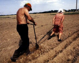 Министр посоветовала,как выкопать картошку и не навредить здоровью