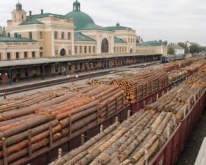 Експерти розповіли, скільки втрачає лісова галузь від заборони вивозити ліс