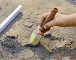 Великан с жезлом - археологи раскопали курган вождя