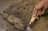 Археологи нашли останки животных, из которых доставали органы для гадания