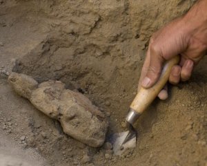 Археологи нашли останки животных, из которых доставали органы для гадания
