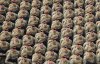 Показали впечатляющее видео с присяги курсантов Академии сухопутных войск