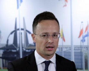 Інцидент в Берегові: в Угорщині пригрозили висланням українського консула