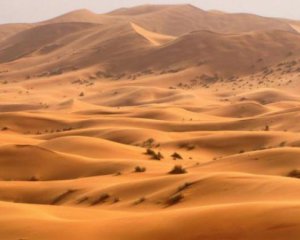 Найбільша пустеля світу захоплює нові землі