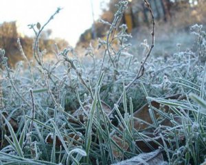 Спасатели предупредили о первых заморозках