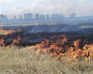 Супрун розповіла, чому небезпечно спалювати суху траву