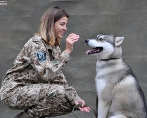 Украинские воины снялись в благотворительной фотосессии с бездомными собаками