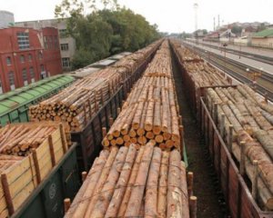 Компании-гиганты с ЕС незаконно покупают украинский лес, вывозимый контрабандой - Сэм Лоусон