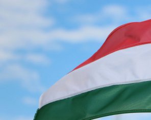 Угорцям на Закарпатті подвоять фінансову допомогу