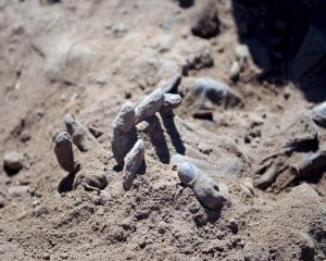 Знайшли понад 200 масових поховань жертв ІДІЛ