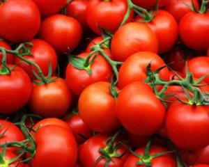 Почему цена на импортные томаты взлетит в 4 раза