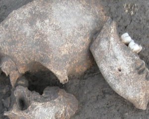 Археологи рассказали, что кельты делали с головами врагов
