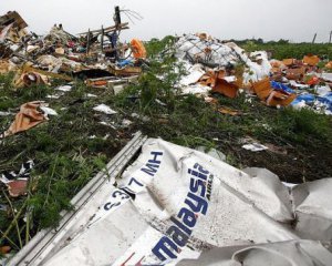 Сім&#039;ї жертв катастрофи MH17 просять Трампа домогтися від Путіна правди