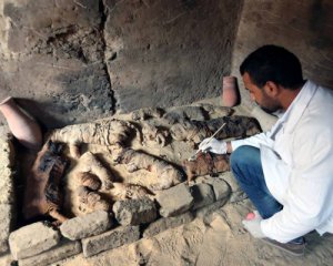 Нашли гробницу с мумифицированными кошками и жуками