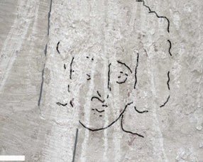 Кучерявий і з довгим носом: на стелі храму виявили давнє зображення Ісуса