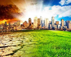 Массовое бесплодие: рассказали о сокрушительном влиянии климата