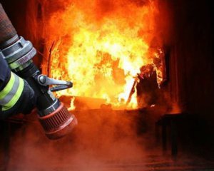 Жінка ледь не згоріла, витягуючи з пожежі поросят