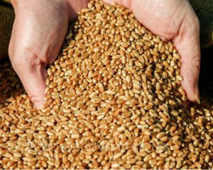В Украине собрали рекордный урожай зерновых
