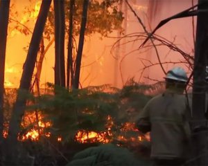Смертельну пожежу в Каліфорнії вдалося локалізувати