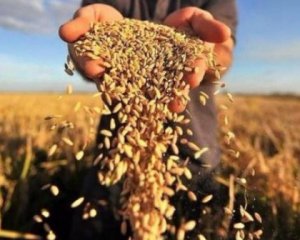 Росія атакує по всіх фронтах: аграрії скупили високотоксичні добрива