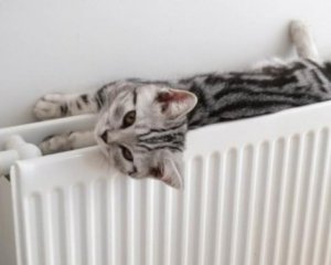 Українка розповіла, скільки витрачає на комунальні у Франції