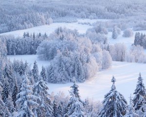 Погодні гойдалки - якою буде зима