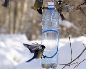 Як зробити годівничку й де її почепити