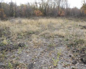 Планують побудувати сміттєпереробний завод