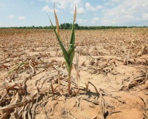 Безводный Крым на грани катастрофы: оккупанты признали проблему