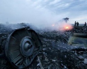 Катастрофа MH17: против РФ могут подать иск в международный суд
