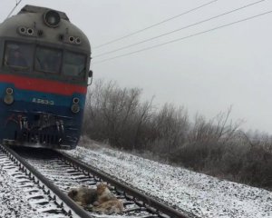 Пассажирский поезд Рахов-Киев застрял посреди поля