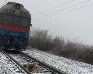 Пасажирський поїзд Рахів-Київ застряг посеред поля