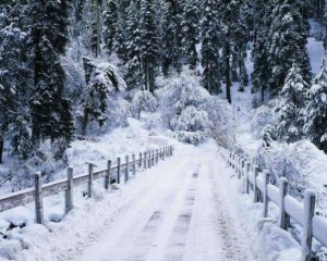 Украинские Карпаты замело снегом