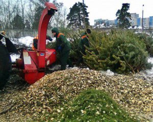 З&#039;явилися пункти утилізації новорічних ялинок