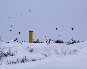 На Полтавщині відкрили електростанцію, яка працює на газі зі сміття