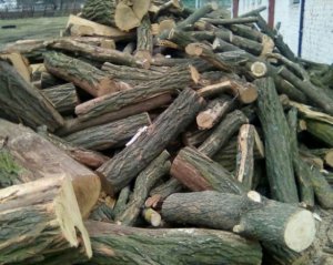 Полтавців "кинули" на дрова