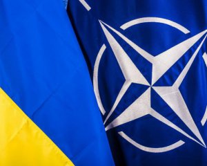 В НАТО наполягають на необхідності прискореного вступу України до Альянсу - Полторак