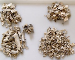 Археологи навчилися визначати стать кремованих людей