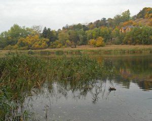 Киевского застройщика оставили без лакомого кусочка