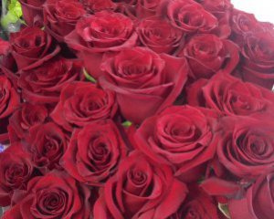 За 5 лет розы подорожали втрое - цена на цветы в День влюбленных